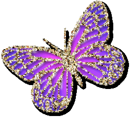 my purple butterfly logo